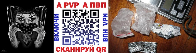 A PVP СК КРИС  Бийск 