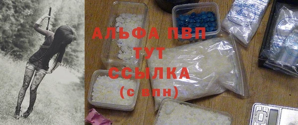 гашик Абаза